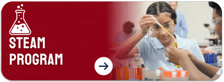 STEAM PROGRAM